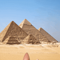 cone haeads pyramid.gif