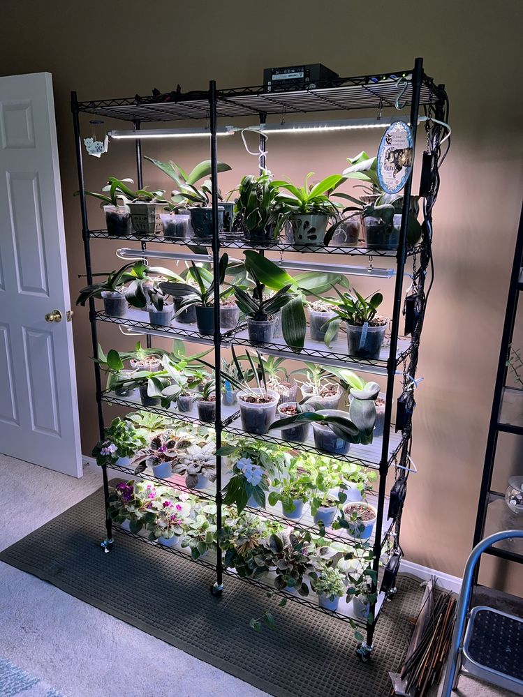 The new plant rack is in place and operational.