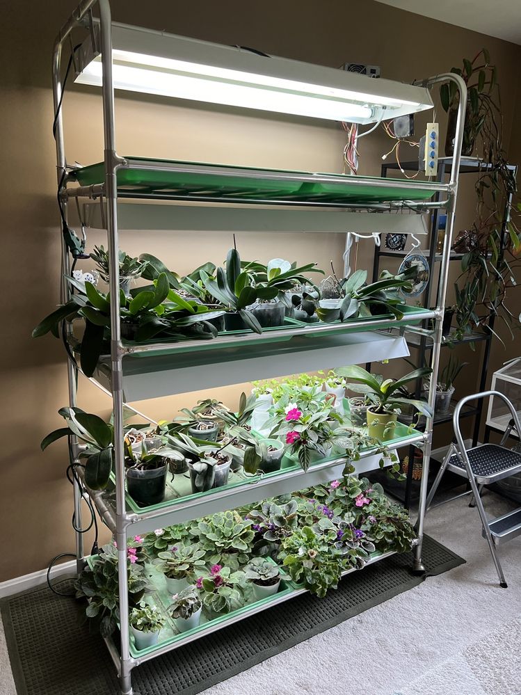 The original plant rack lasted 30 years.  I'm not complaining.