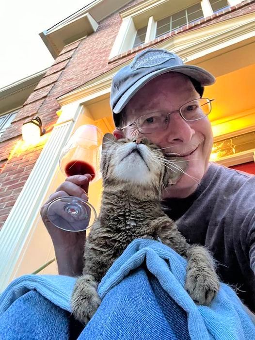 Tiger on our front steps, July 2024