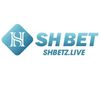 logo-shbet (1).jpg