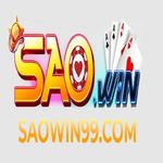 Profile (saowin99com)