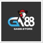 Profile (ga88store)