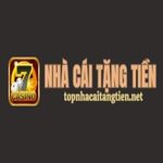 Profile (topnhacaitangtiennet)