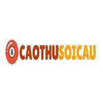 Profile (caothusoicauexpert)