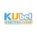 Profile (kubetprocloud)