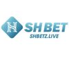 shbet-logo.jpg