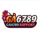 Profile (ga6789support)