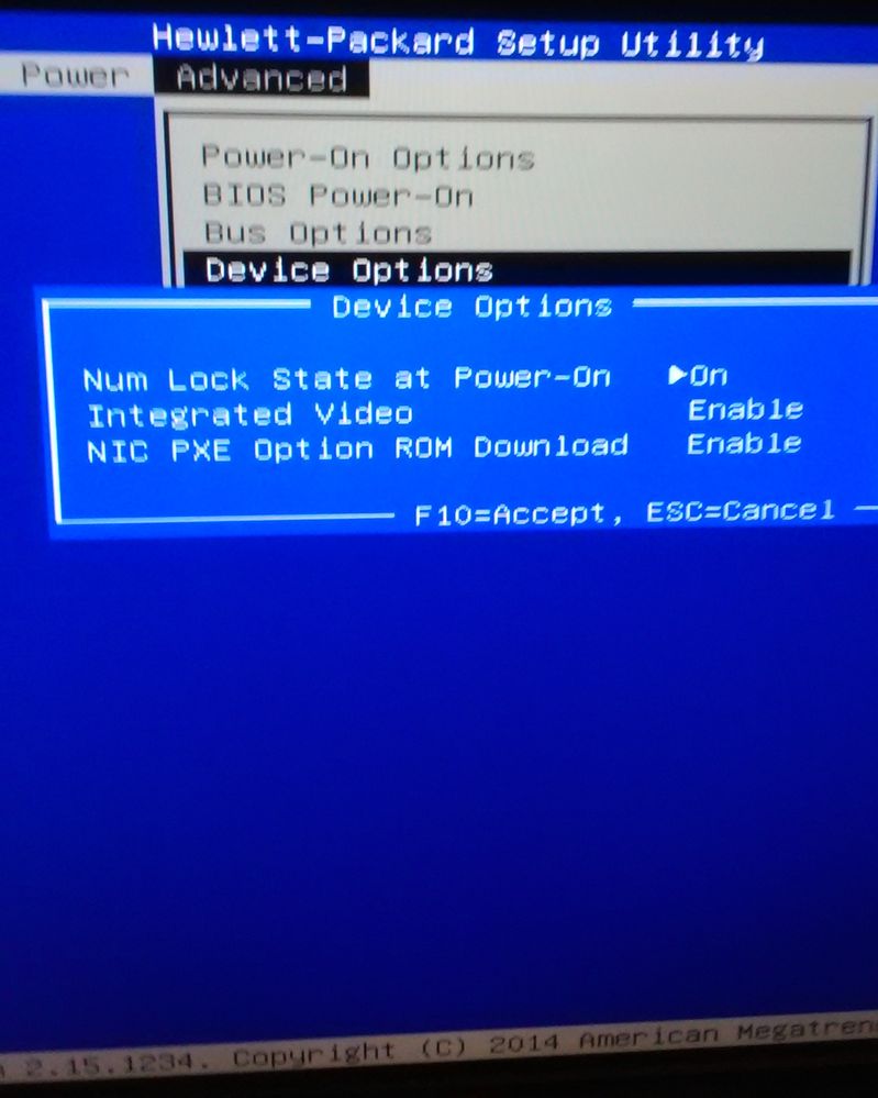 BIOS Device Options.jpg