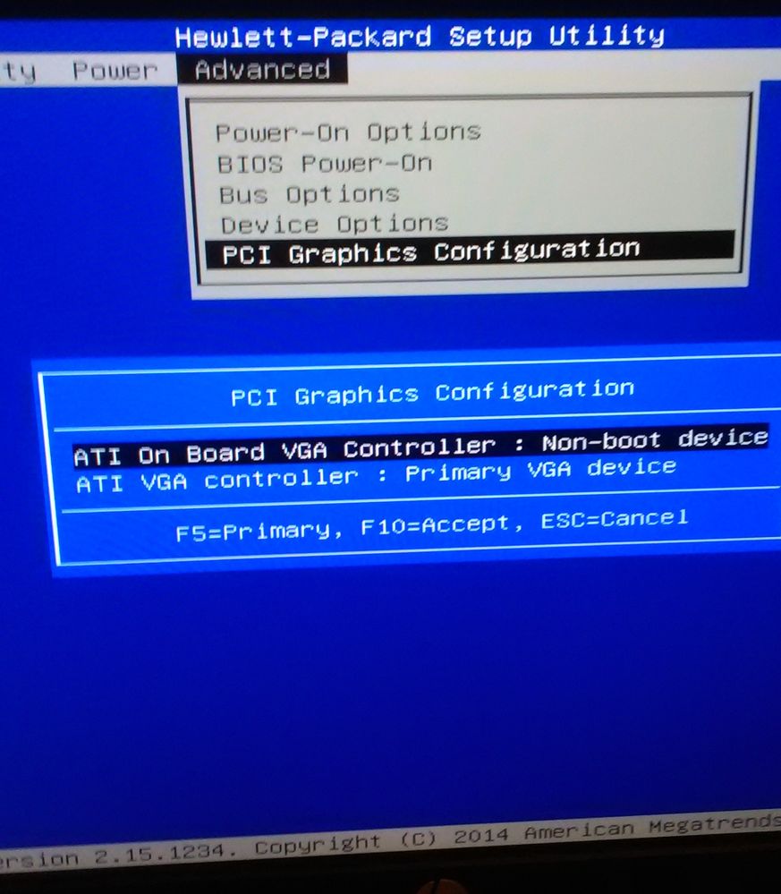 BIOS PCI Graphics Config.jpg