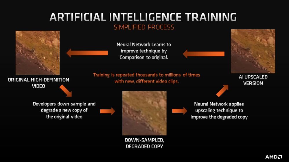 The AI Training Workflow