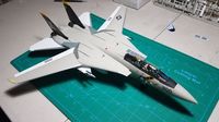 Sams_F-14_1.jpg