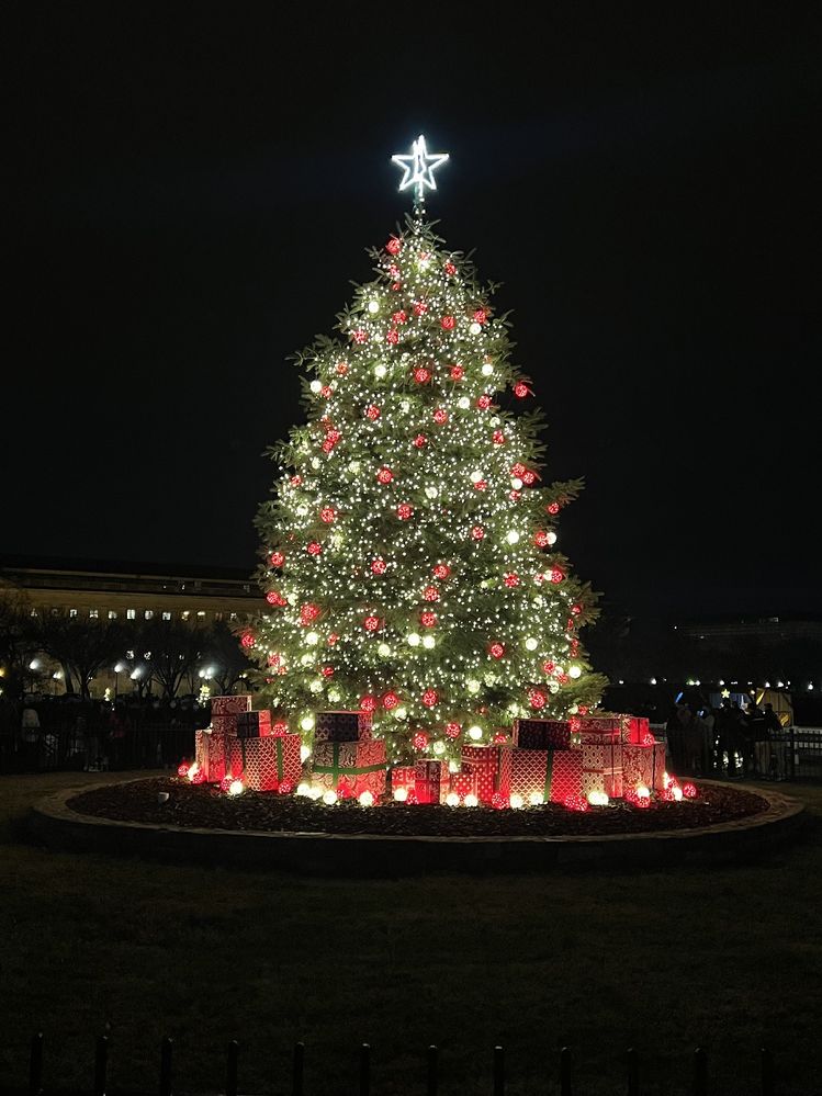 National Christmas Tree 2021.
