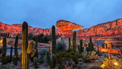 Radiator Spring Racers