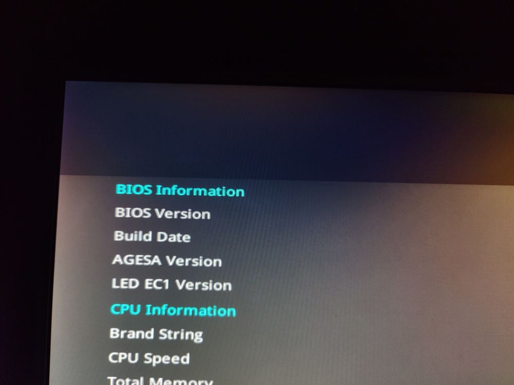 BIOS top of screen blacked out