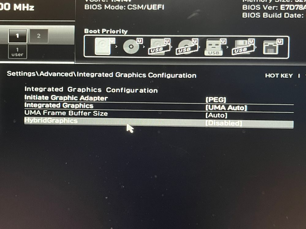 bios settings for integrated grtaphics