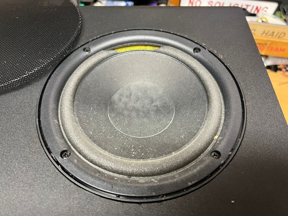 Ok, I popped off the grill cover and now I will remove this loudspeaker (aka driver).