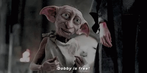 im-free-dobby-is-free