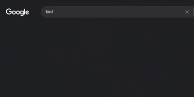 Display issues 2.gif Display issues 2.gif