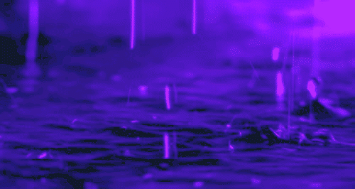 1286987749_preview_purple rain 2.gif
