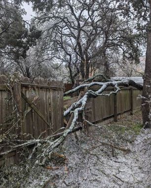 Fence down.