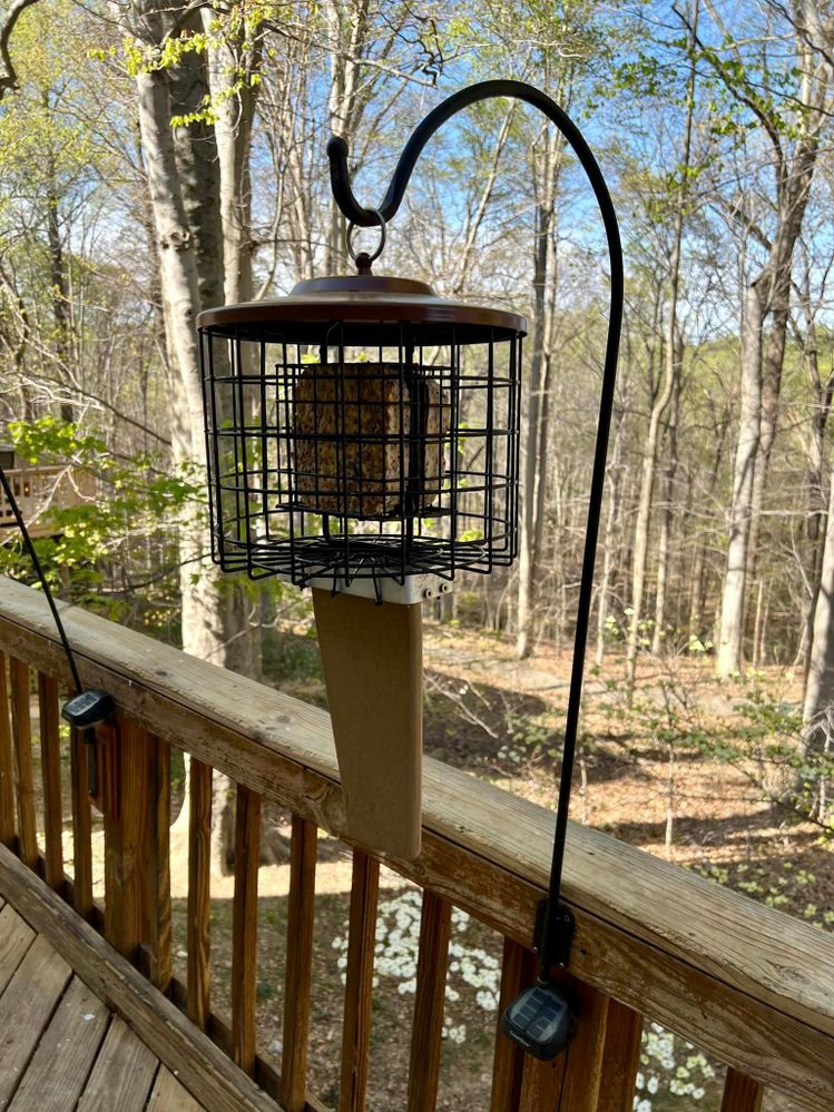 What was old is new again - wing from old feeder added to new 'all metal' feeder.
